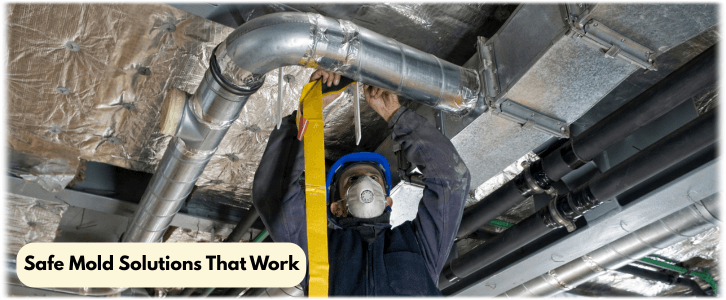 Air Duct Mold Removal in Natick MA