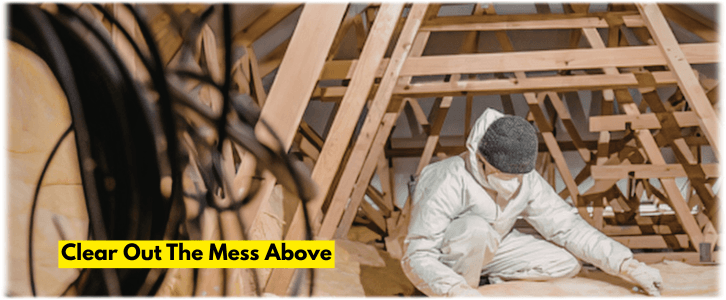 Attic Cleaning Natick MA