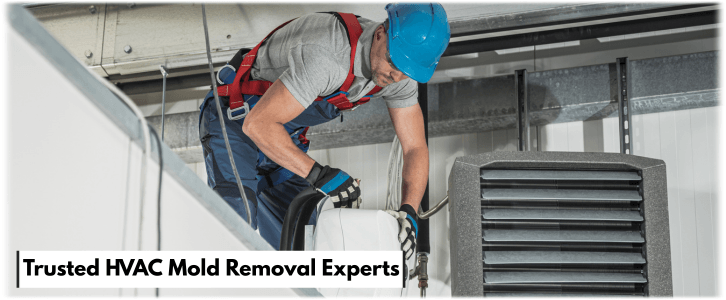 HVAC Mold Removal Natick MA